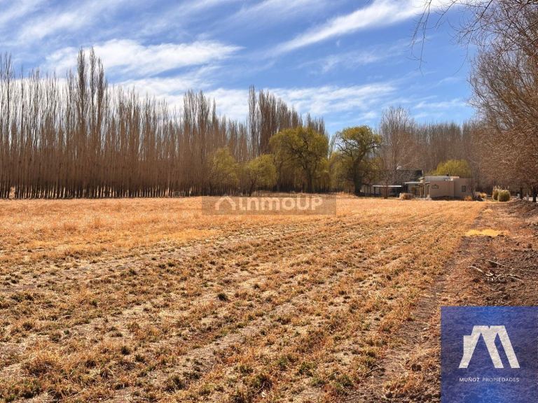 Casa en Venta en Las Heras, Mendoza - USD 220.000 | Inmoup - 26