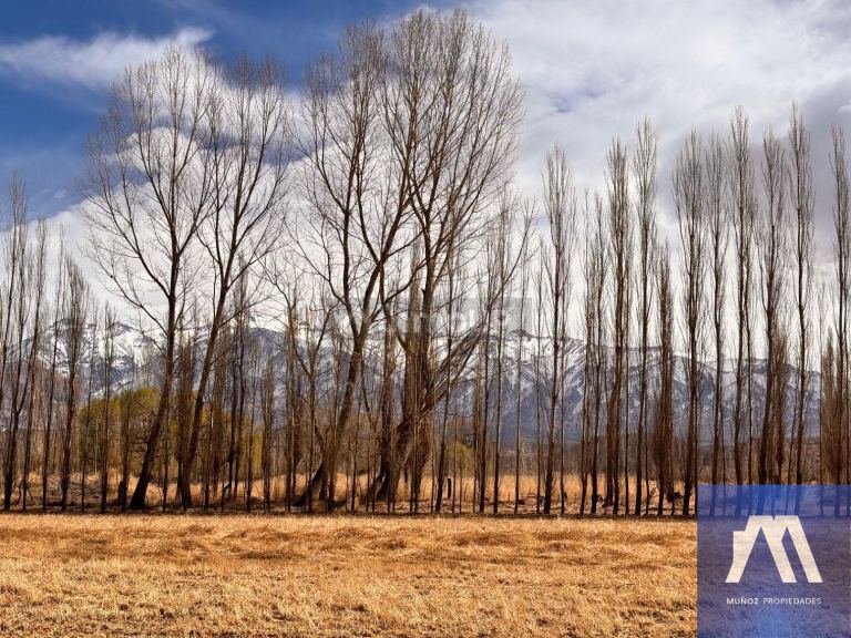 Casa en Venta en Las Heras, Mendoza - USD 220.000 | Inmoup - 10
