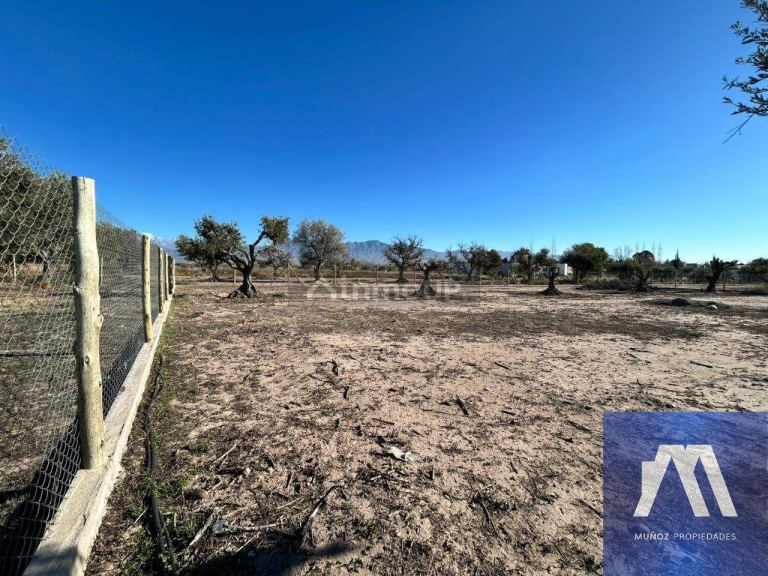 Terreno en Venta en Lujan de Cuyo, Mendoza - USD 71.500 | Inmoup - 16