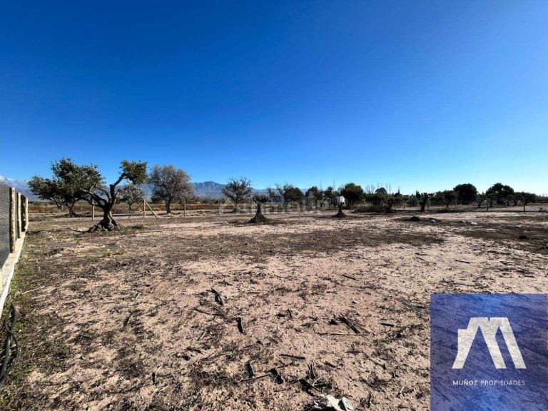 Terreno en Venta en Lujan de Cuyo, Mendoza - USD 71.500 | Inmoup - 15