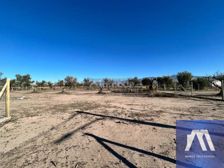 Terreno en Venta en Lujan de Cuyo, Mendoza - USD 71.500 | Inmoup - 20