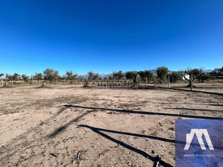 Terreno en Venta en Lujan de Cuyo, Mendoza - USD 71.500 | Inmoup - 19