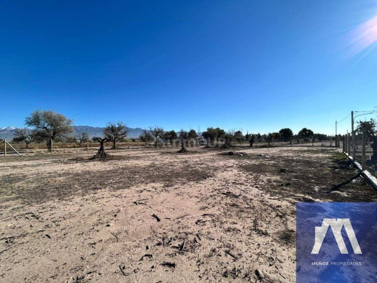 Terreno en Venta en Lujan de Cuyo, Mendoza - USD 71.500 | Inmoup - 17