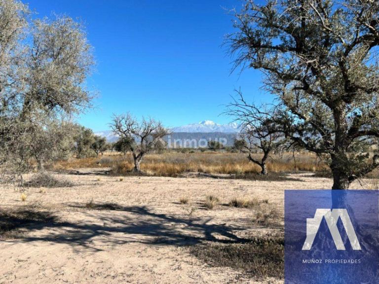 Terreno en Venta en Lujan de Cuyo, Mendoza - USD 71.500 | Inmoup - 11