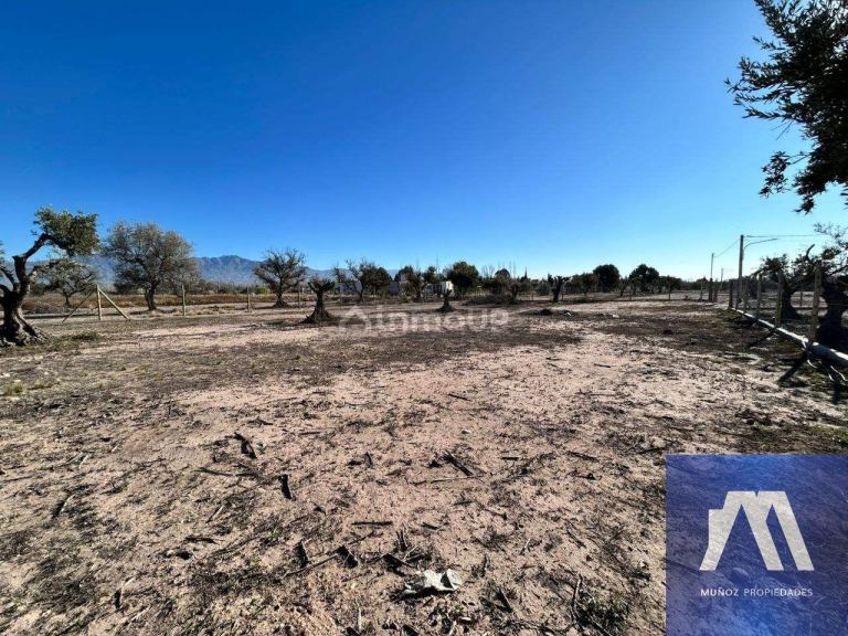 Terreno en Venta en Lujan de Cuyo, Mendoza - USD 71.500 | Inmoup - 14