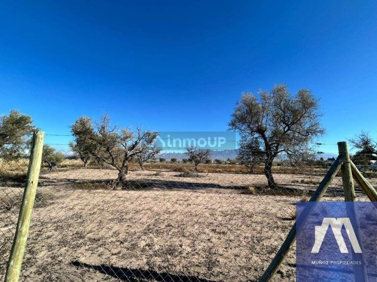Terreno en Venta en Lujan de Cuyo, Mendoza - USD 71.500 | Inmoup - 9