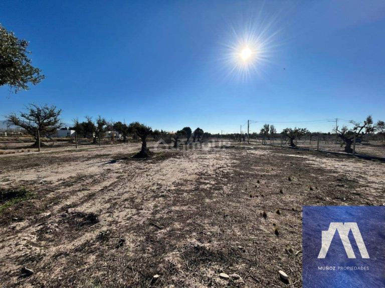 Terreno en Venta en Lujan de Cuyo, Mendoza - USD 71.500 | Inmoup - 13