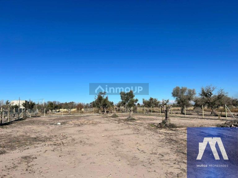 Terreno en Venta en Lujan de Cuyo, Mendoza - USD 71.500 | Inmoup - 8