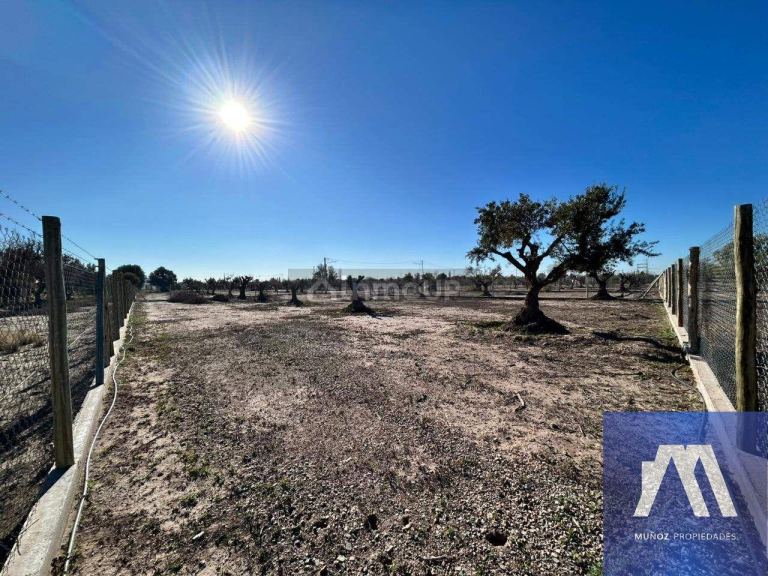 Terreno en Venta en Lujan de Cuyo, Mendoza - USD 71.500 | Inmoup - 12