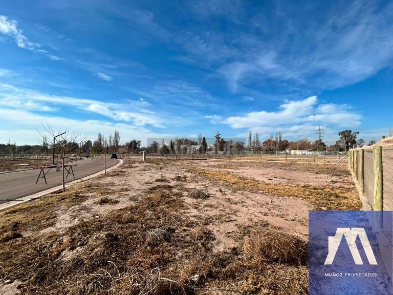 Terreno en Venta en Lujan de Cuyo, Mendoza - USD 73.000 | Inmoup - 20