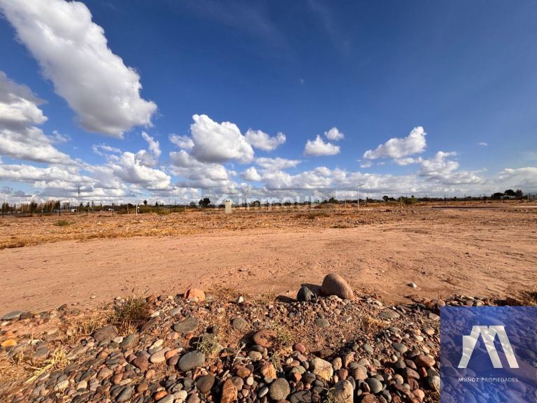 Terreno en Venta en Maipu, Mendoza