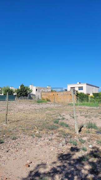 Lote en Venta en Lujan de Cuyo, Mendoza