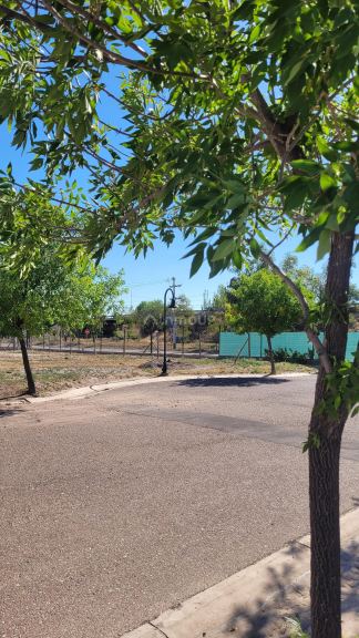 Lote en Venta en Lujan de Cuyo, Mendoza