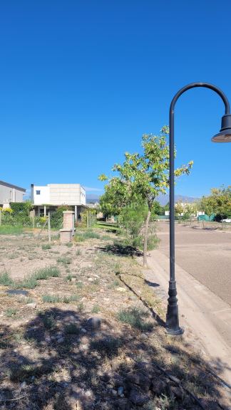 Lote en Venta en Lujan de Cuyo, Mendoza