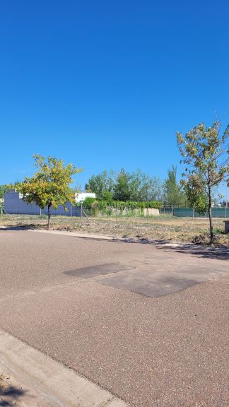 Lote en Venta en Lujan de Cuyo, Mendoza