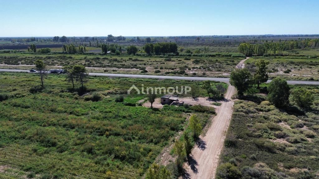 Finca en Venta en Lavalle, Mendoza