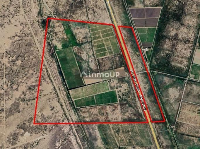 Finca en Venta en Lavalle, Mendoza