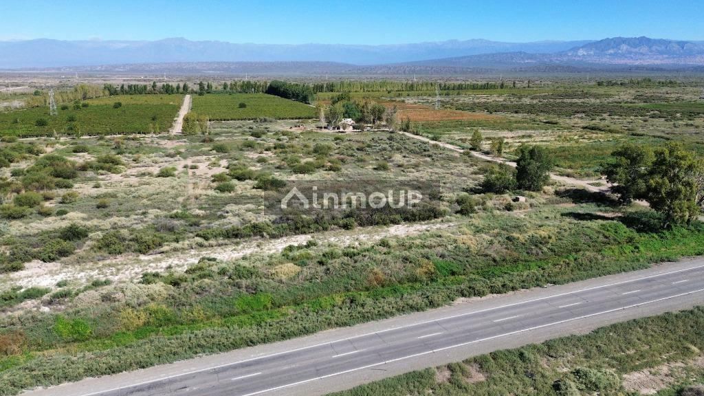 Finca en Venta en Lavalle, Mendoza