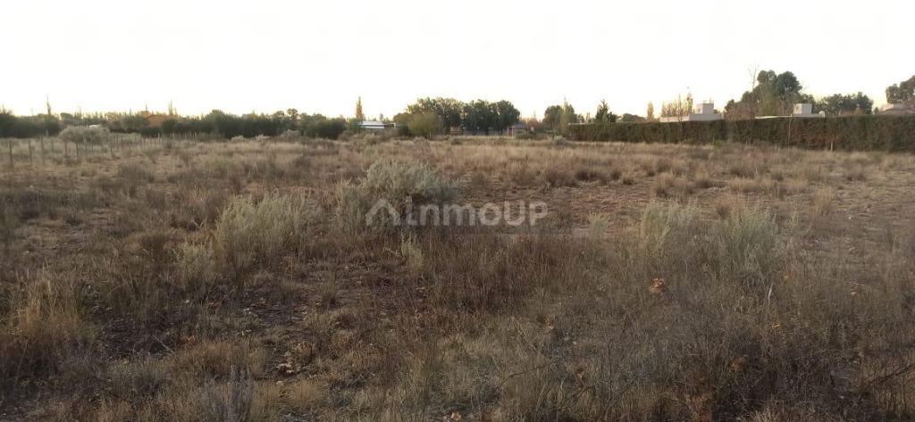 Lote en Venta en San Rafael, Mendoza
