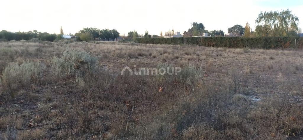 Lote en Venta en San Rafael, Mendoza