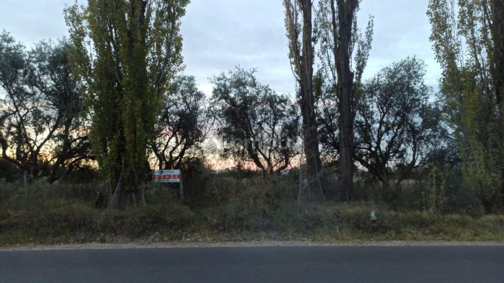 Lote en Venta en San Rafael, Mendoza