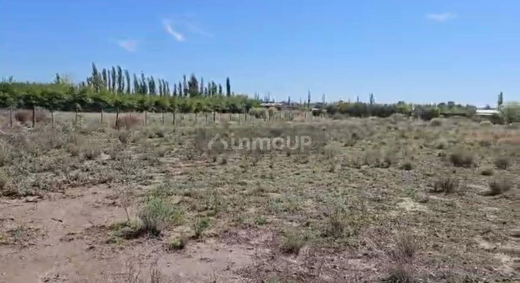 Lote en Venta en San Rafael, Mendoza