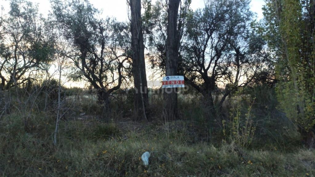Lote en Venta en San Rafael, Mendoza