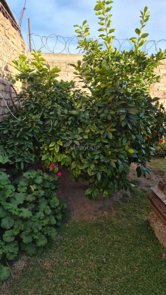 Terreno en Venta en Godoy Cruz, Mendoza