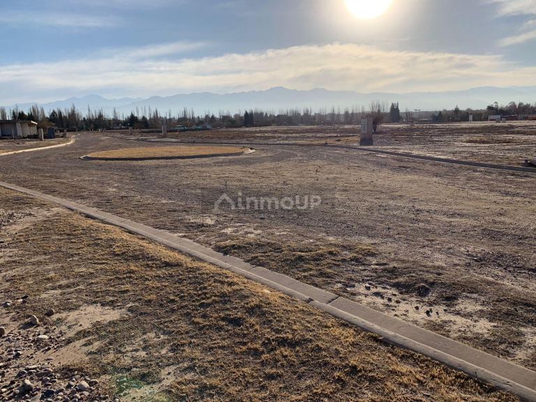 Lote en Venta en Lujan de Cuyo, Mendoza