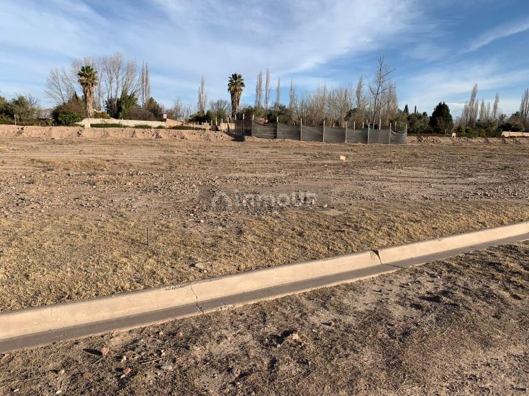 Lote en Venta en Lujan de Cuyo, Mendoza