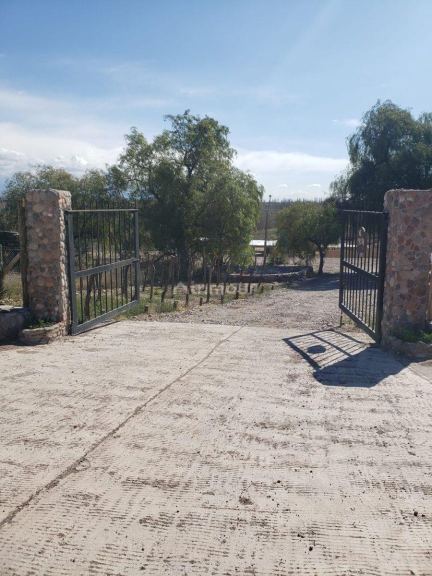 Lote en Venta en Lujan de Cuyo, Mendoza