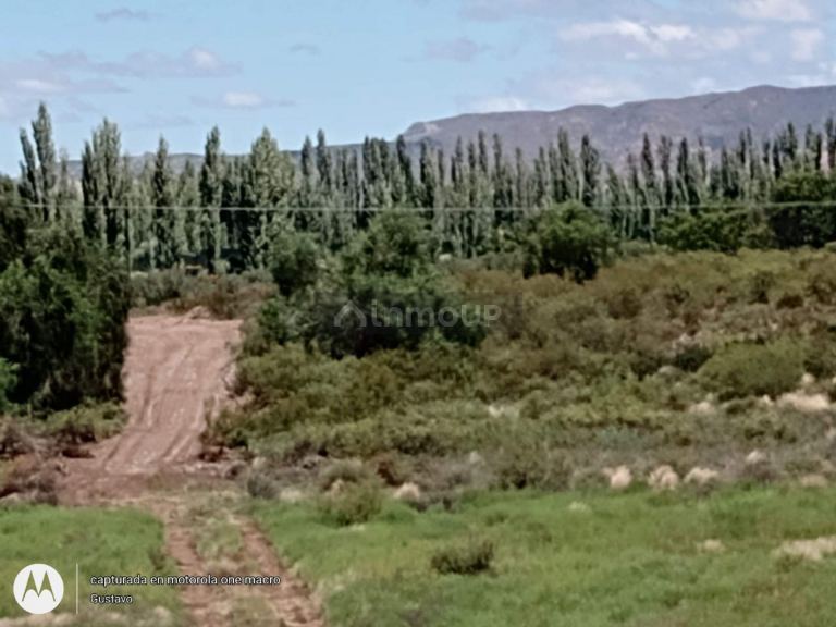Lote en Venta en San Rafael, Mendoza