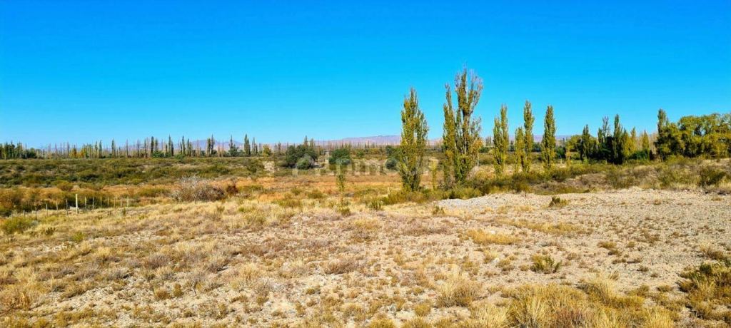 Lote en Venta en San Rafael, Mendoza