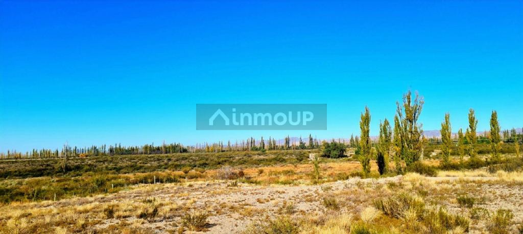 Lote en Venta en San Rafael, Mendoza
