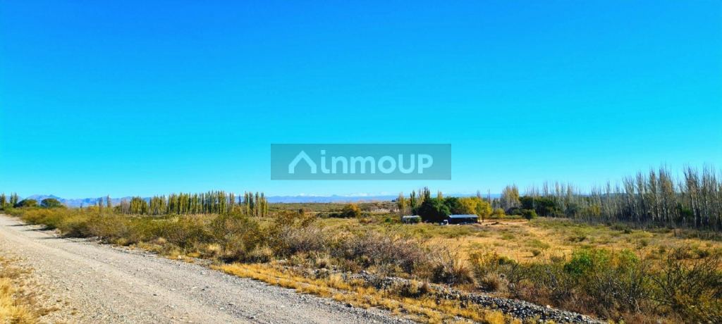 Lote en Venta en San Rafael, Mendoza