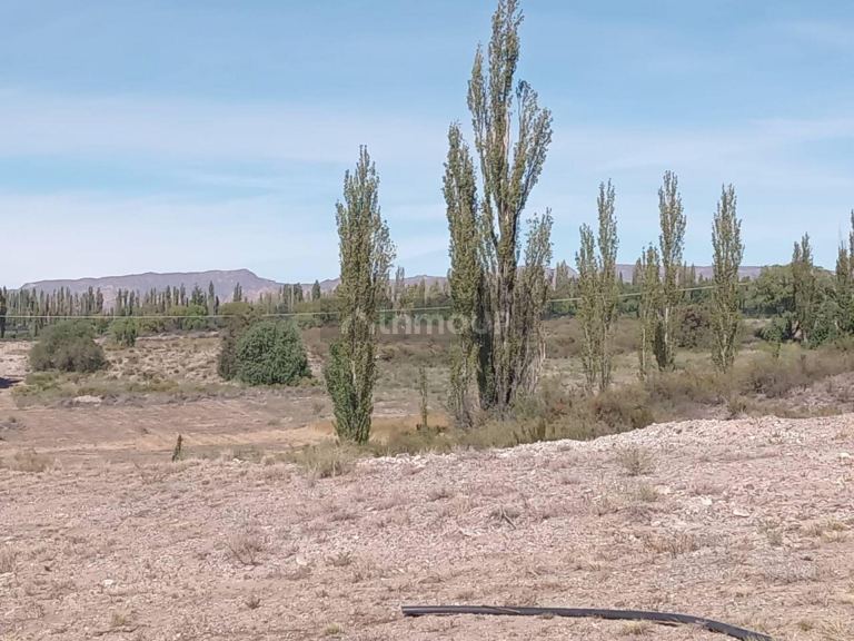 Lote en Venta en San Rafael, Mendoza