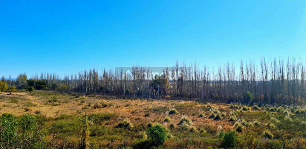 Lote en Venta en San Rafael, Mendoza