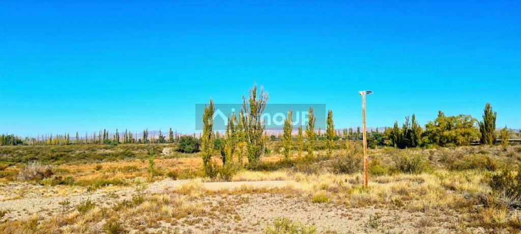 Lote en Venta en San Rafael, Mendoza