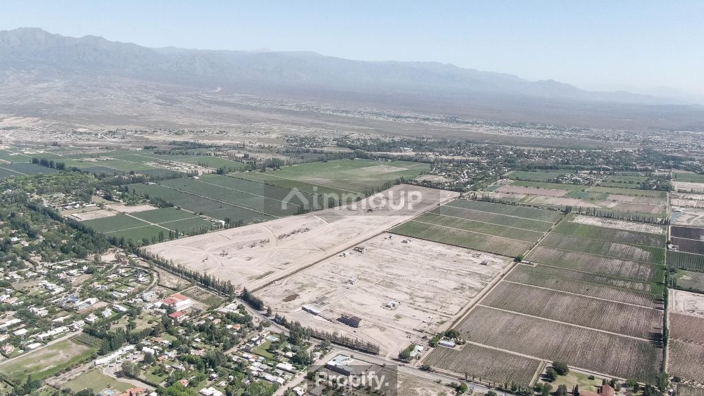 Lote en Venta en Lujan de Cuyo, Mendoza