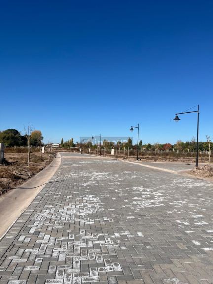 Lote en Venta en Lujan de Cuyo, Mendoza