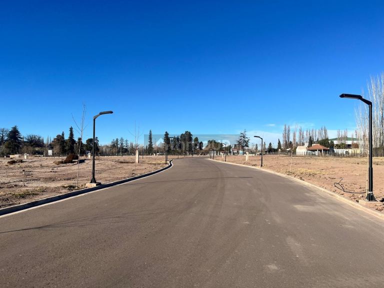 Lote en Venta en Lujan de Cuyo, Mendoza