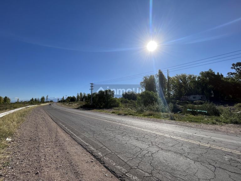 Lote en Venta en Lujan de Cuyo, Mendoza