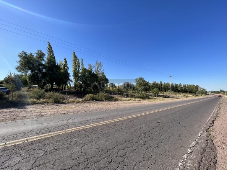 Lote en Venta en Lujan de Cuyo, Mendoza