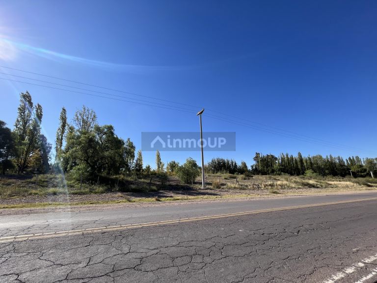 Lote en Venta en Lujan de Cuyo, Mendoza