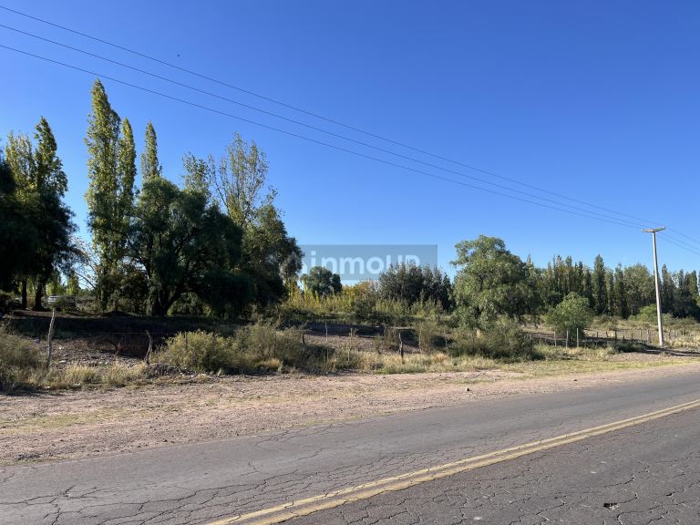 Lote en Venta en Lujan de Cuyo, Mendoza
