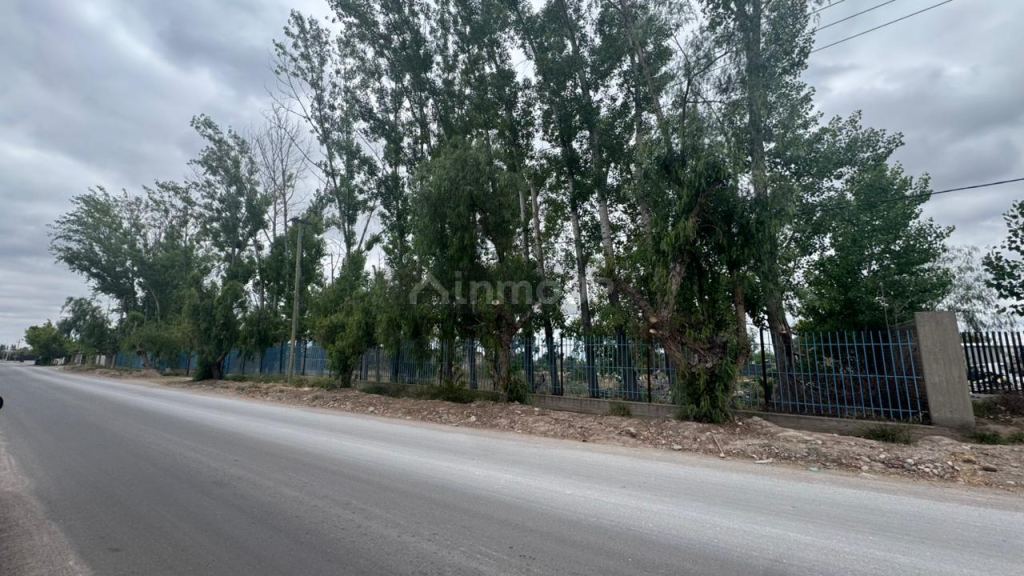 Lote en Venta en Lujan de Cuyo, Mendoza