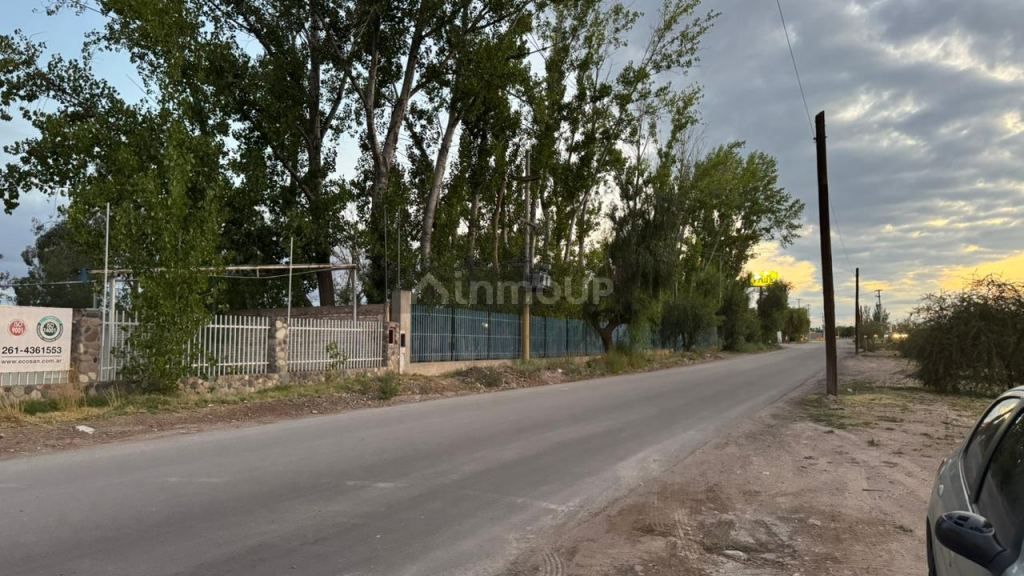 Lote en Venta en Lujan de Cuyo, Mendoza