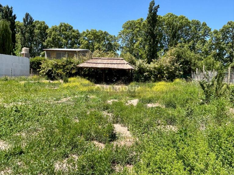 Lote en Venta en Lujan de Cuyo, Mendoza