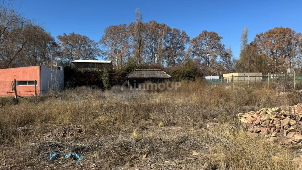 Lote en Venta en Lujan de Cuyo, Mendoza