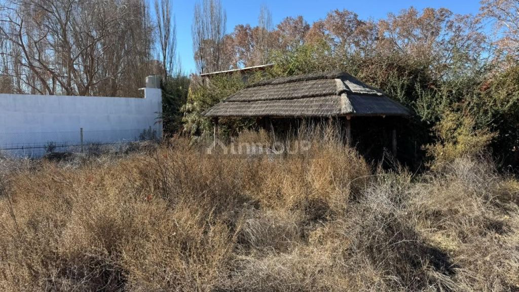 Lote en Venta en Lujan de Cuyo, Mendoza